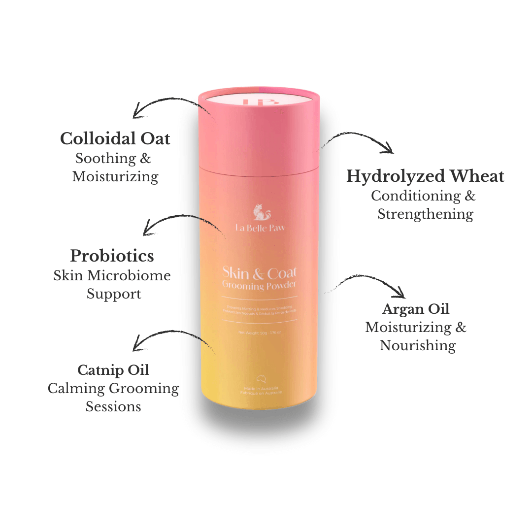 Skin & Coat Grooming Powder